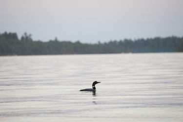 Similar image 8140924