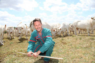 Similar image 8140934