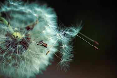 Similar image 8140940