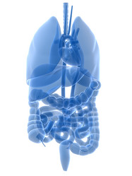 Similar image 8140941