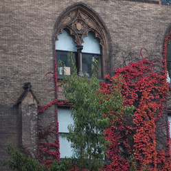 Similar image 8140948