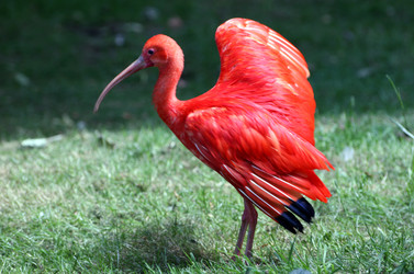 Similar image 8140950