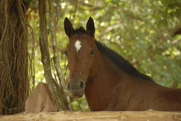 Similar image 8140959