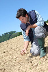 Similar image 8141006