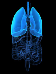 Similar image 8141088