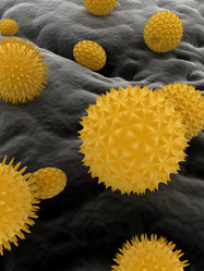 Similar image 8141103