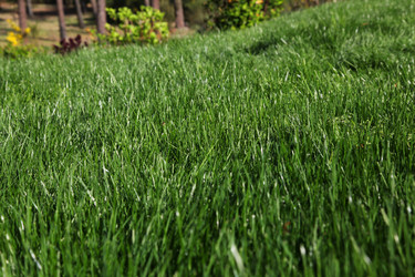 Similar image 8141118