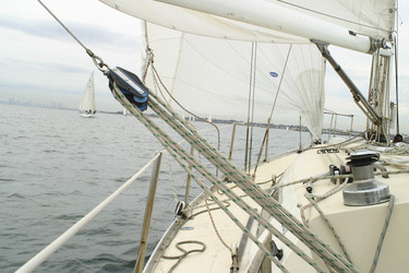 Similar image 8141130