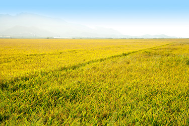 Similar image 8141258