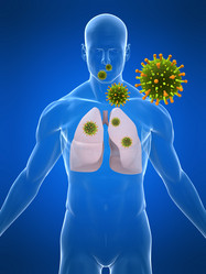 Similar image 8141281