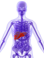 Similar image 8141293