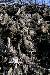 Similar image 8141317