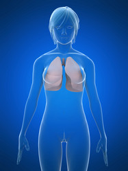 Similar image 8141319