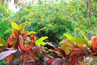 Similar image 8141362