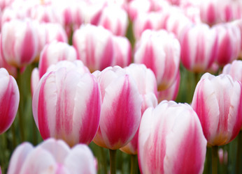 Similar image 8141369