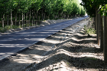 Similar image 8141381