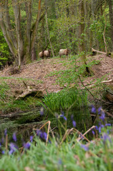 Similar image 8141424