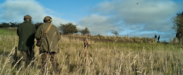 Similar image 8141431