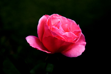 Similar image 8141435