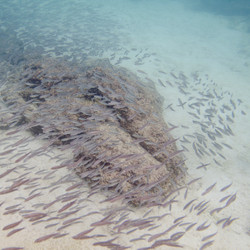 Similar image 8141443