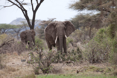 Similar image 8141448