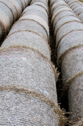 Similar image 8141449