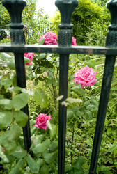 Similar image 8141456