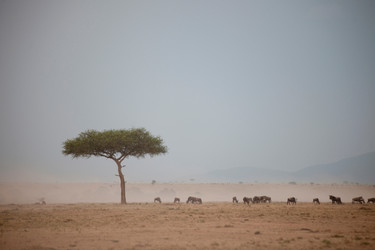 Similar image 8141461