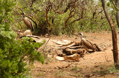 Similar image 8141469