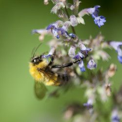 Similar image 8141476