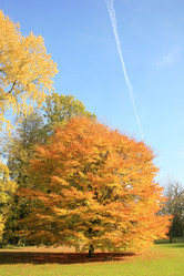 Similar image 8141480