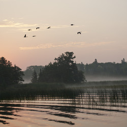 Similar image 8141489