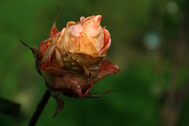 Similar image 8141492