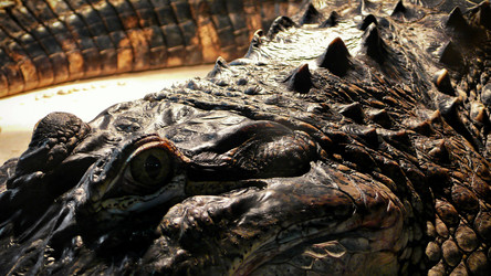 Similar image 8141494