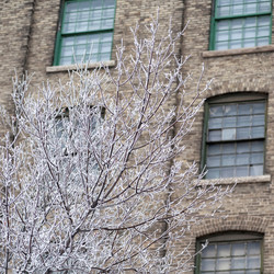 Similar image 8141495