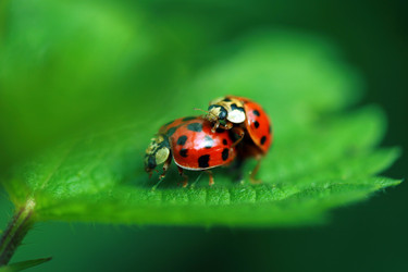 Similar image 8141499