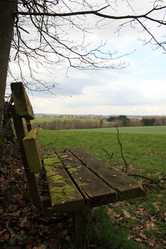 Similar image 8141526