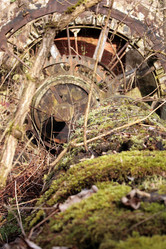 Similar image 8141527