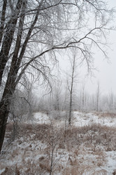 Similar image 8141547