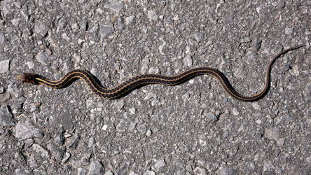 Similar image 8141558