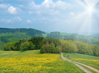 Similar image 8141565