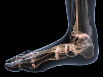 Similar image 8141572