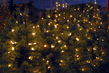 Similar image 8141599