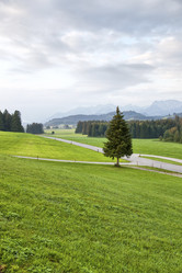 Similar image 8141613