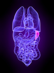 Similar image 8141630