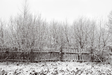 Similar image 8141631