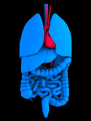 Similar image 8141633