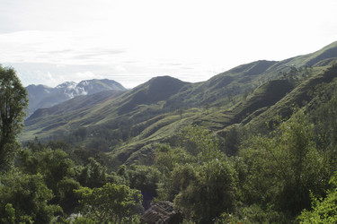 Similar image 8141645