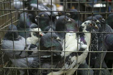 Similar image 8141651