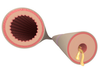 Similar image 8141656